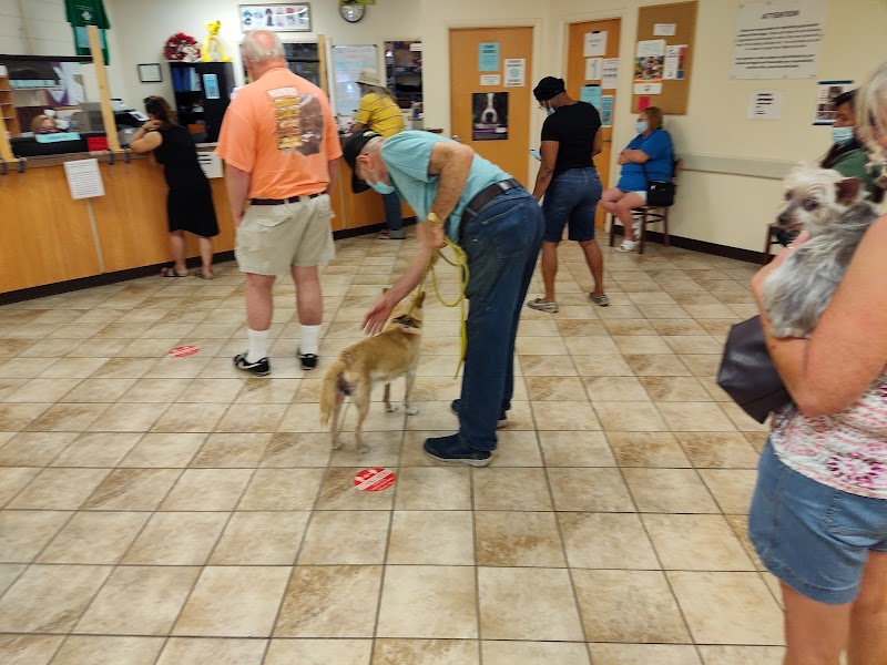 West Michigan Street Veterinary Clinic photo 2