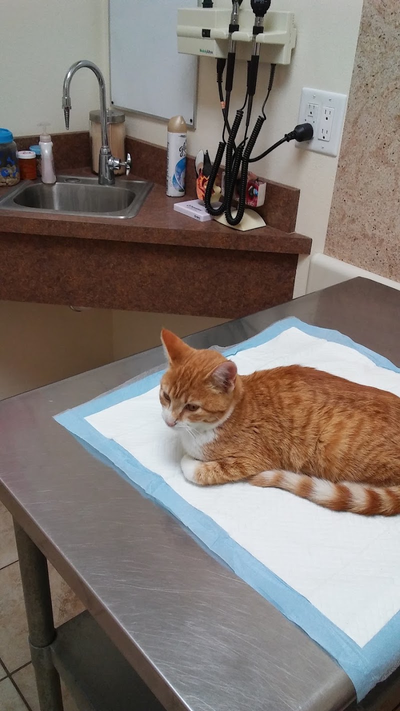 West Michigan Street Veterinary Clinic photo 3