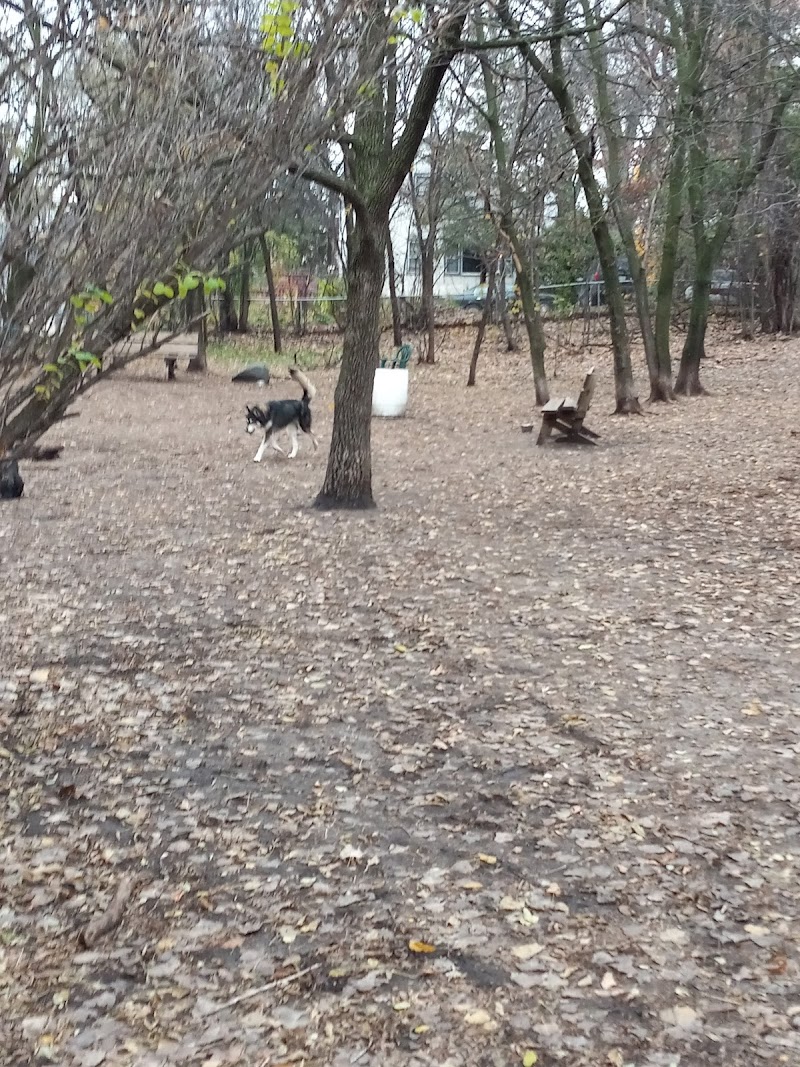 Arlington-Arkwright Dog Park