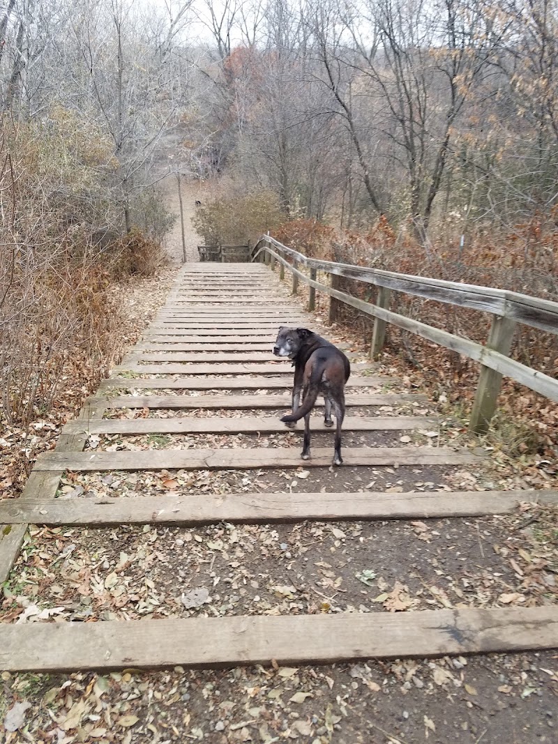 Arlington-Arkwright Dog Park photo 2
