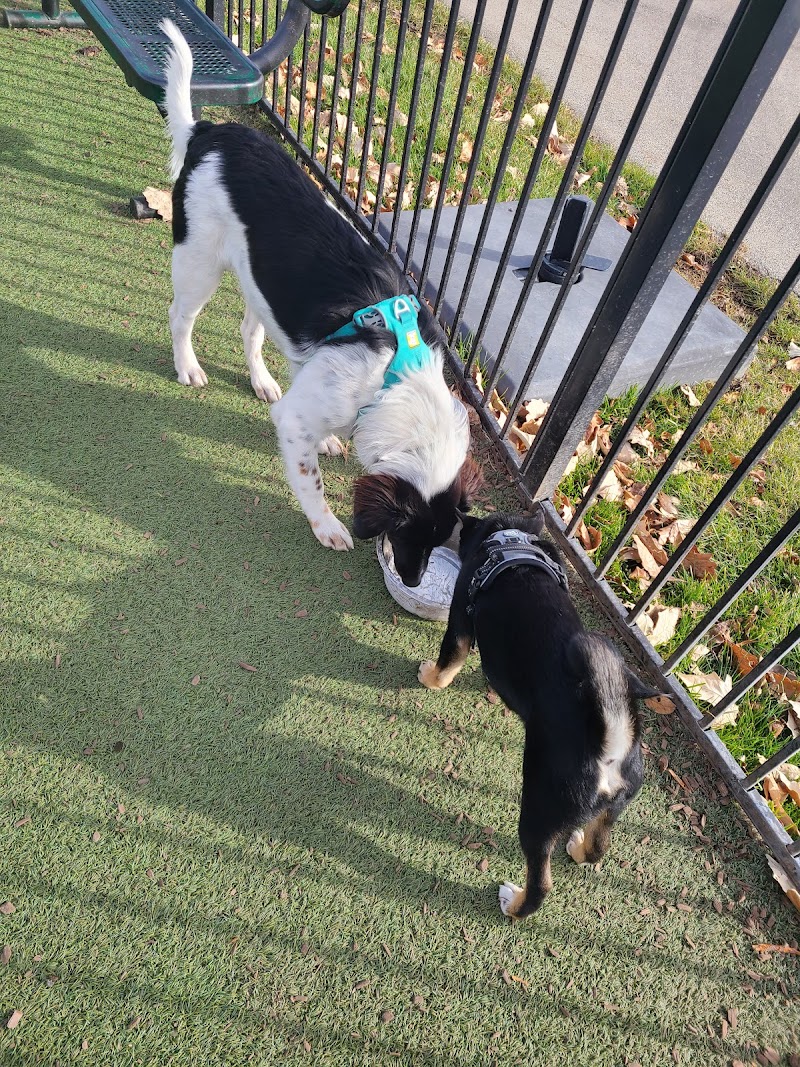 Clay Terrace Dog Park photo 2