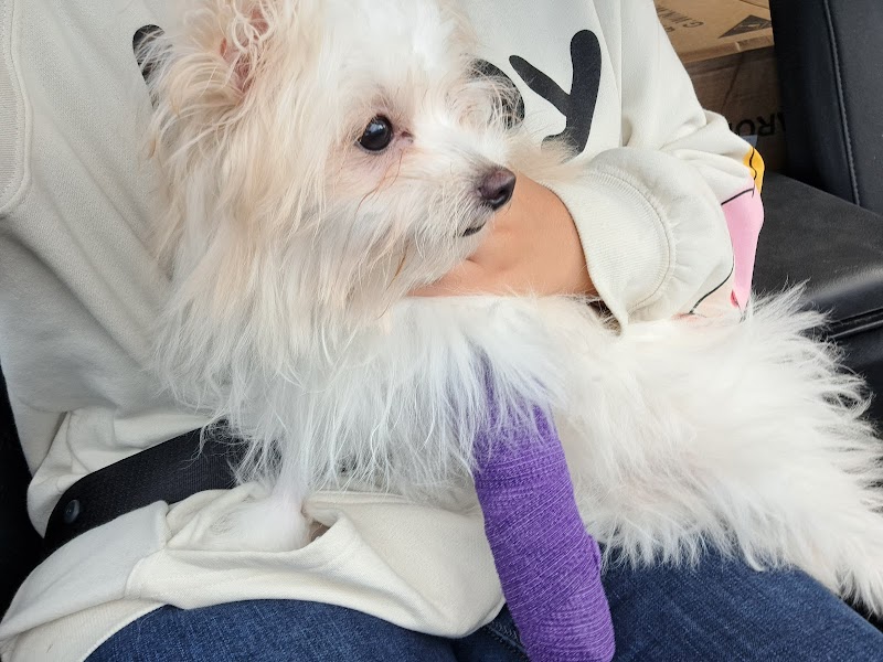 Lorain Animal Clinic photo 2