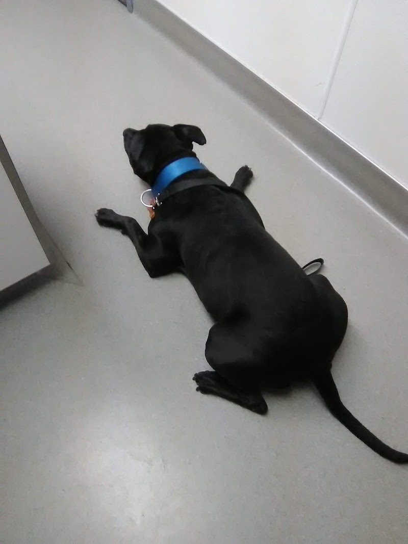 Lorain Animal Clinic photo 3