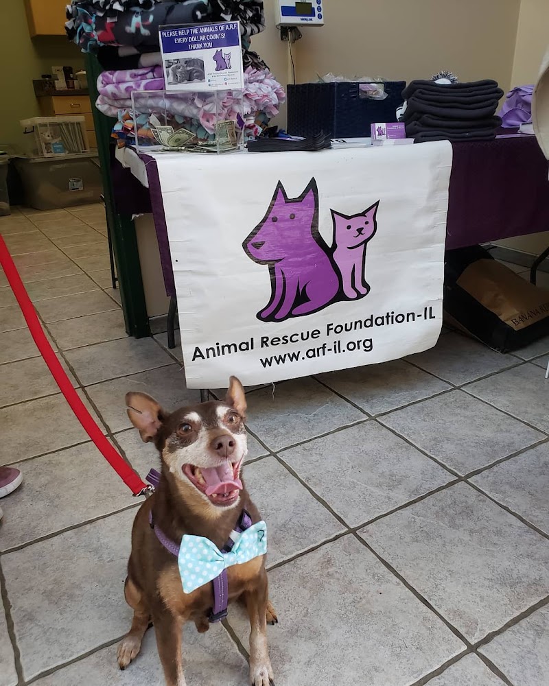 A.R.F.-Animal Rescue Foundation photo 3