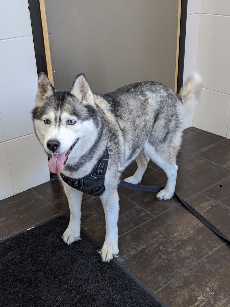 City Way Animal Clinics - Fountain Square photo 3