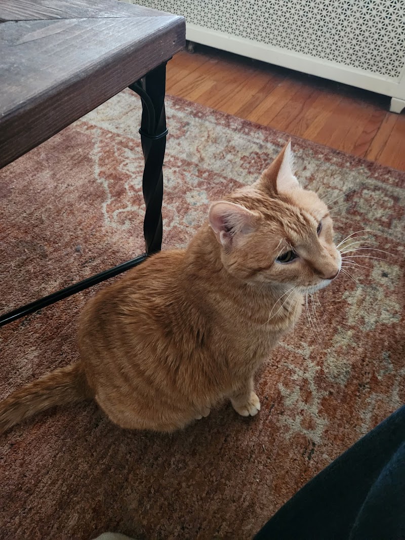 Arcade Animal Hospital