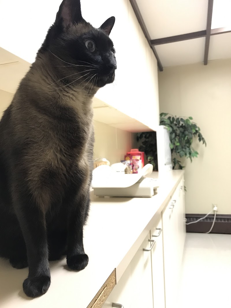 Arcade Animal Hospital photo 2