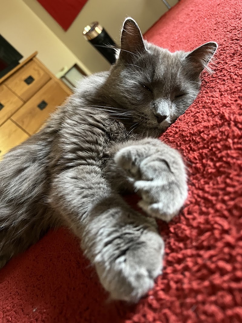 Woodlake Veterinary Hospital