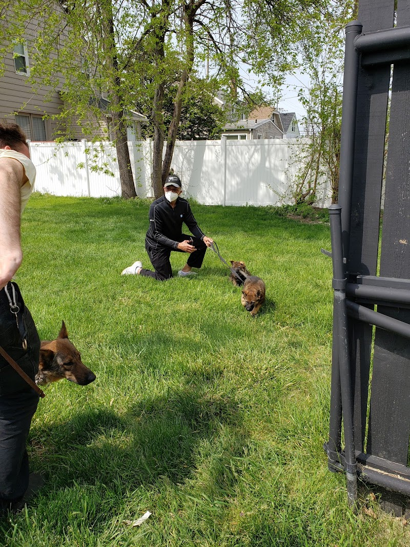 Little Friends of Ferndale