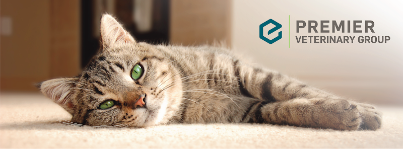 Premier Veterinary Group - Chicago