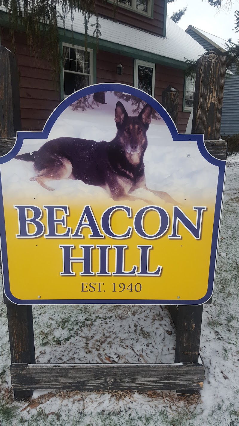 Beacon Hill Boarding Kennels