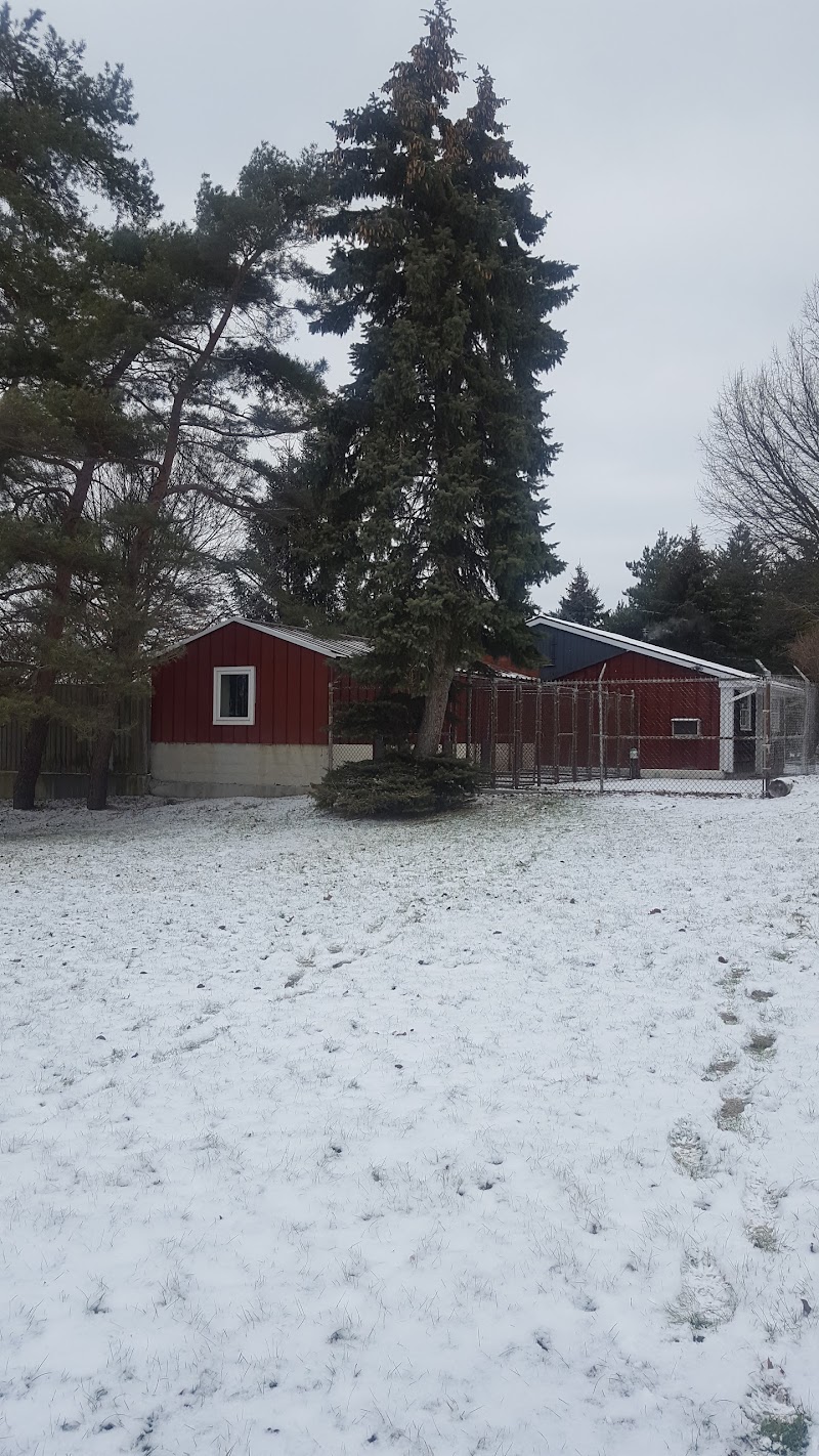 Beacon Hill Boarding Kennels photo 2