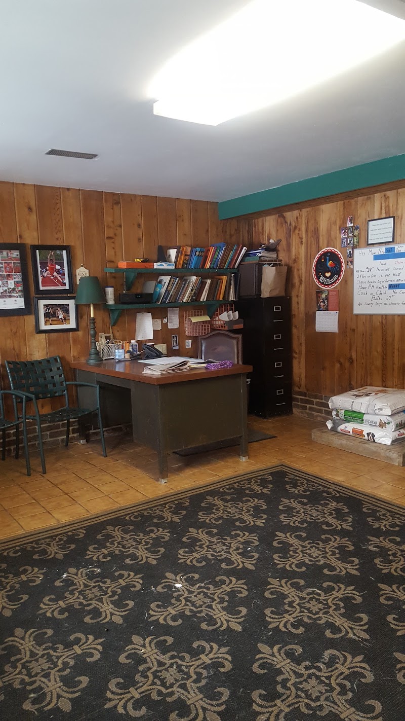 Beacon Hill Boarding Kennels photo 3