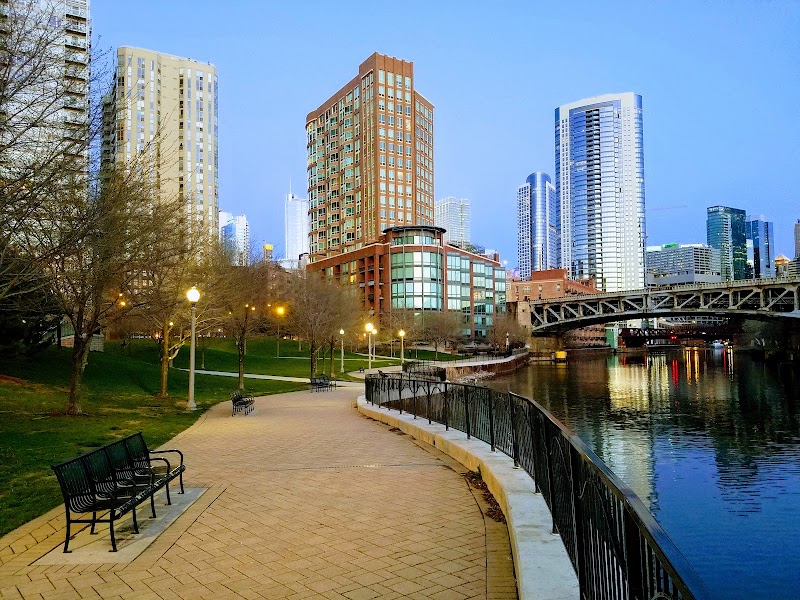 Ward Dog Friendly Area photo 2