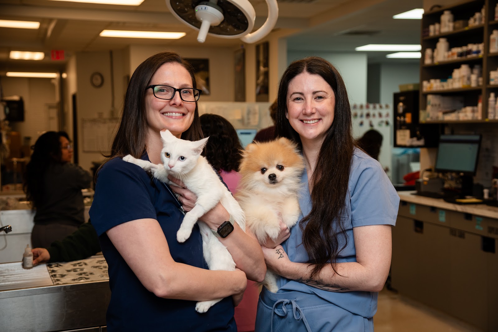 Dallas Animal Urgent Care
