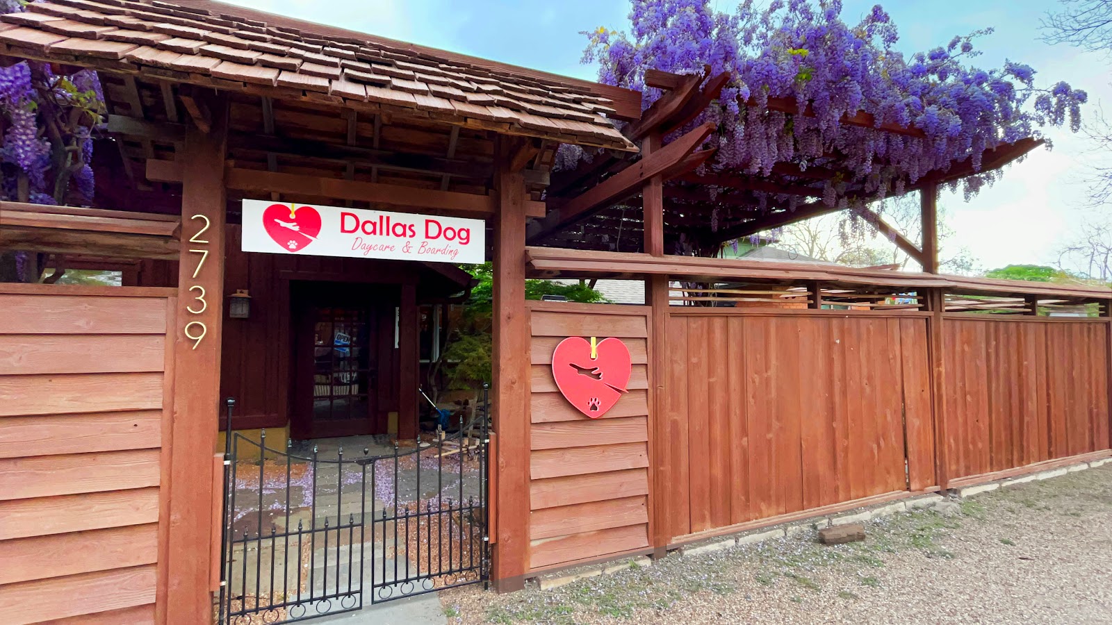 Dallas Dog Daycare and Boarding