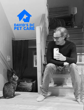 David's DC Pet Care