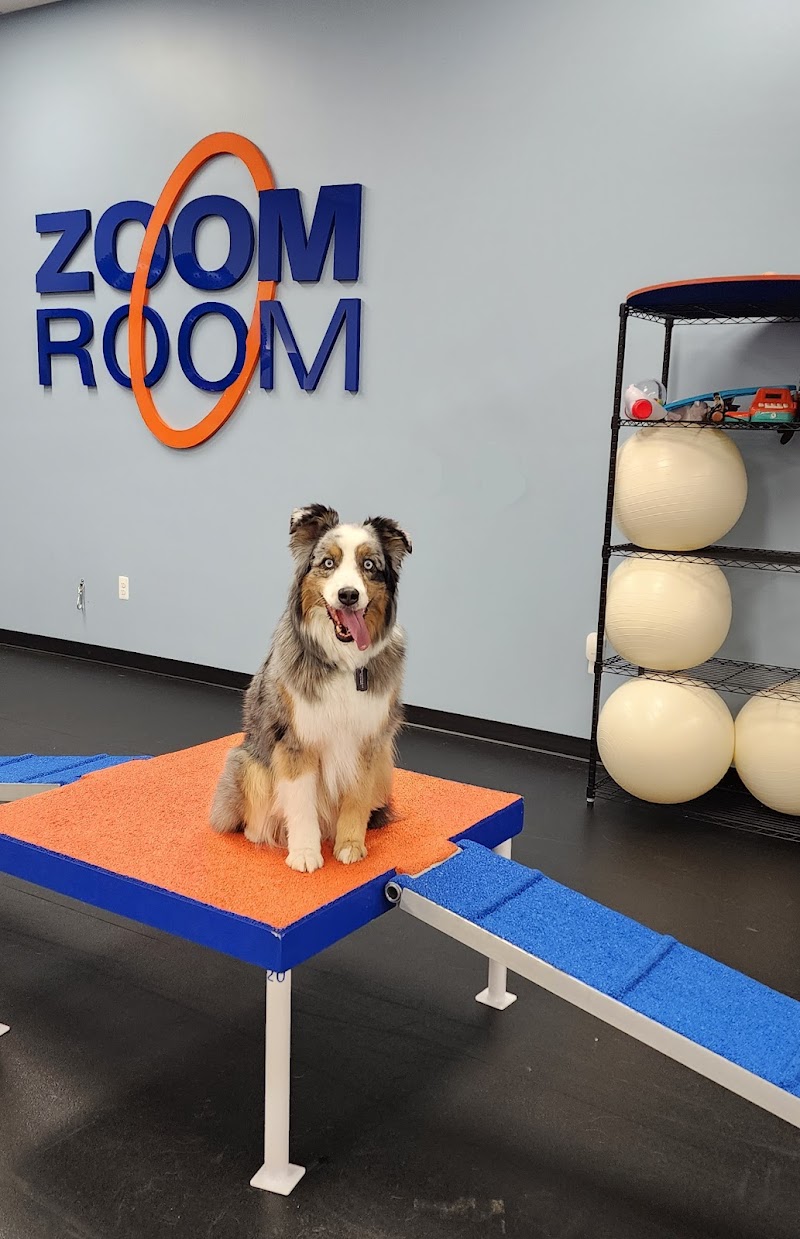 Zoom Room Dog Training photo 2