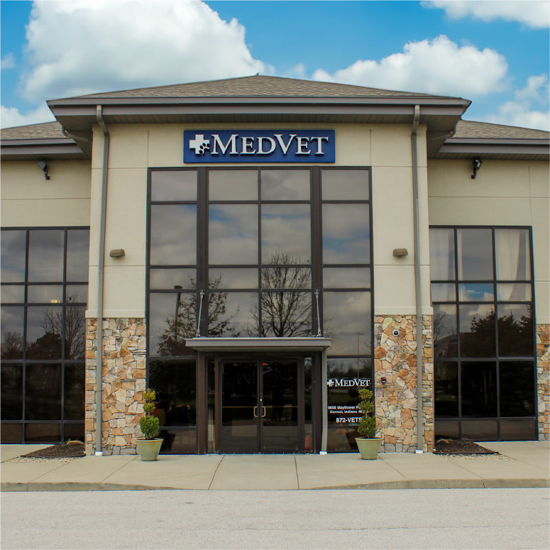 MedVet Indianapolis