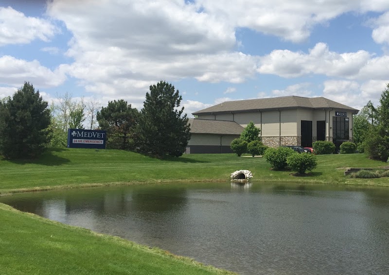 MedVet Indianapolis photo 2