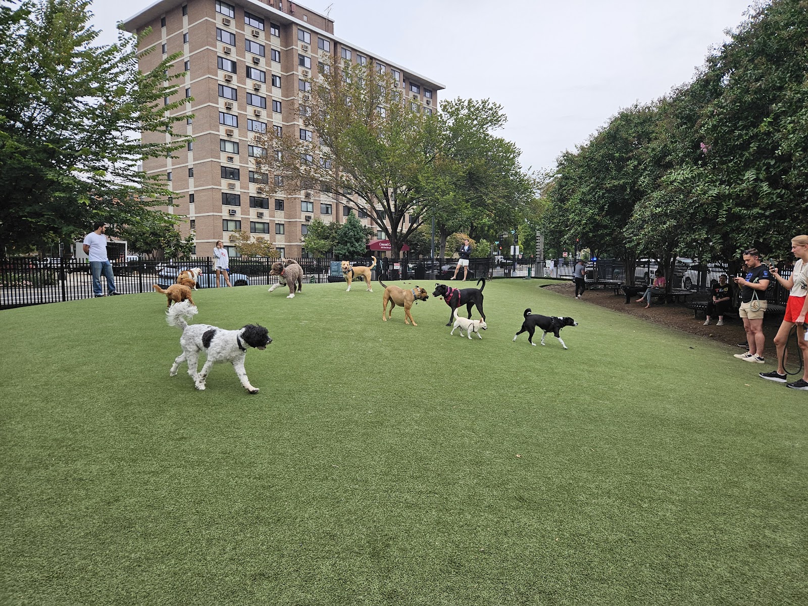 DC Dog Park
