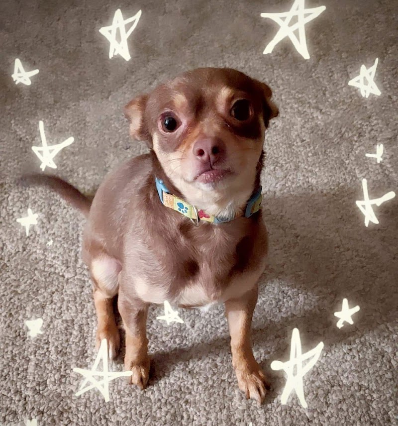 Natalie's Second Chance