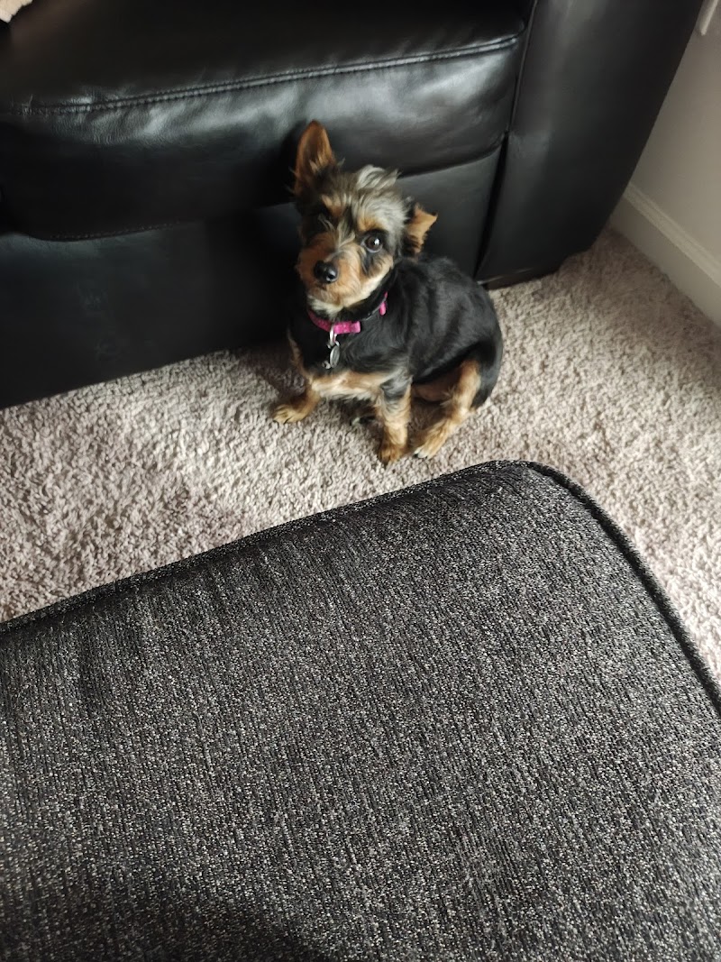 Natalie's Second Chance photo 2