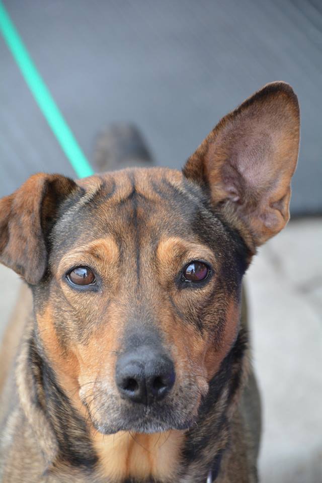 Natalie's Second Chance photo 3