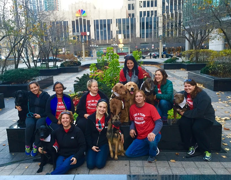 Sit Means Sit Dog Training Chicago photo 2