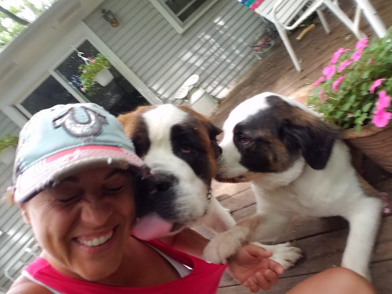 Pooches 'N' Whatnot photo 2