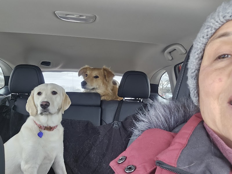 Pooches 'N' Whatnot photo 3