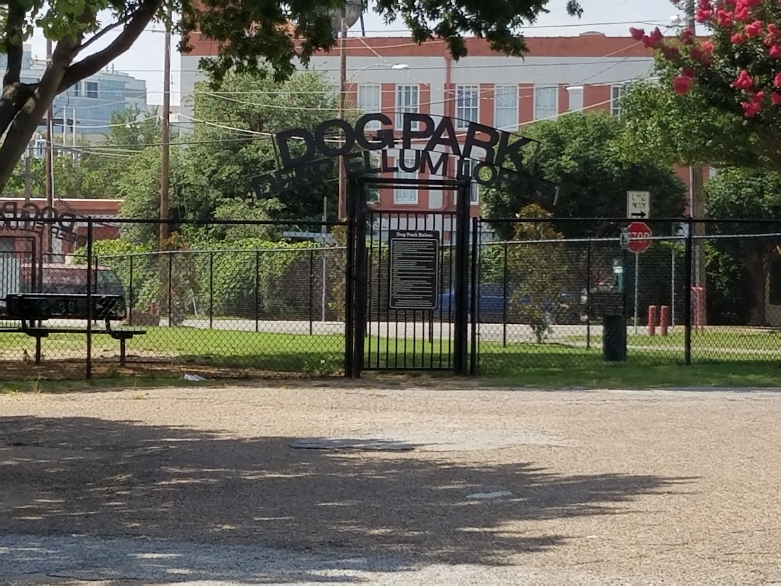 Deep Ellum Lofts Dog Park