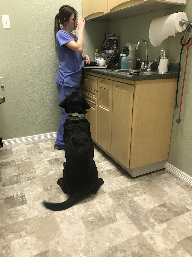 Denver Animal Hospital