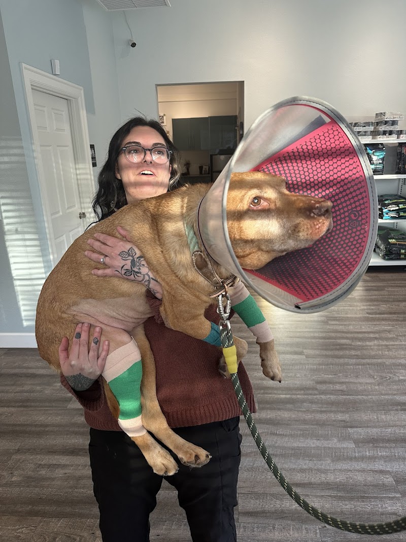 Denver Animal Hospital photo 3