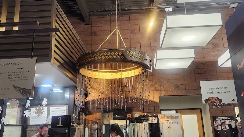 Denver Animal Shelter