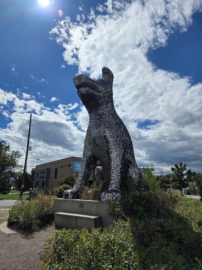 Denver Animal Shelter photo 2