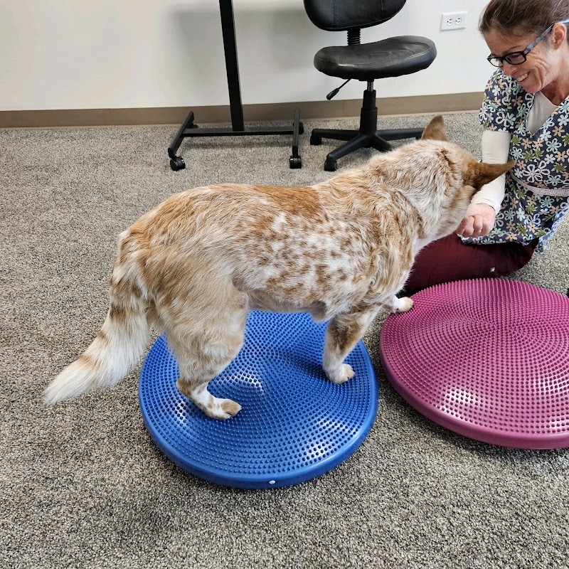 Denver Dog Rehab & Wellness photo 2