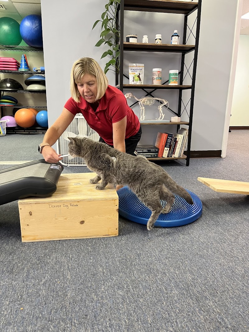 Denver Dog Rehab & Wellness photo 3