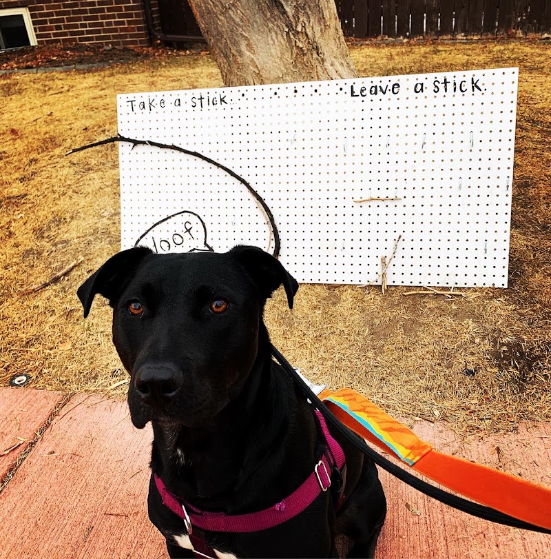 Denver Dog Walkers