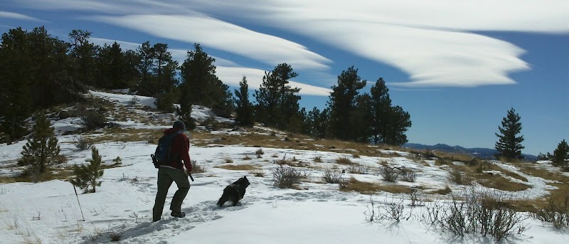 Denver Pet Sitters Inc. photo 2