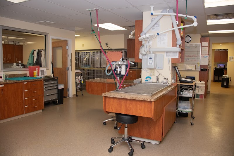 Mayfair Animal Hospital & ER photo 2