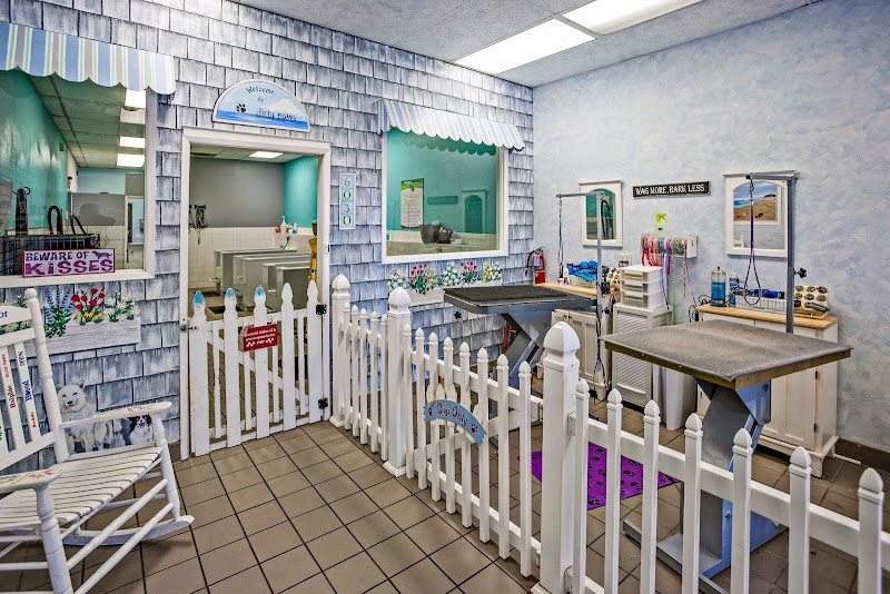 Dirty Paws Pet Wash photo 2