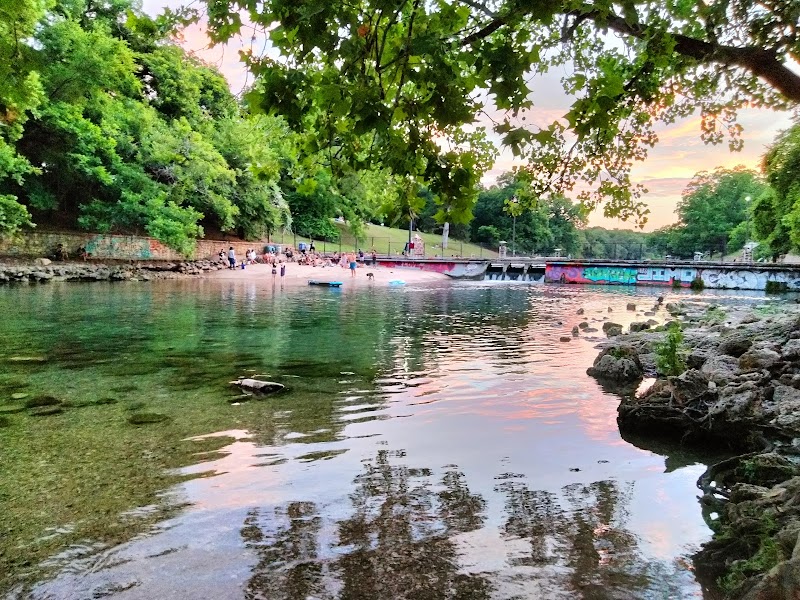 Dog Barton Springs photo 2
