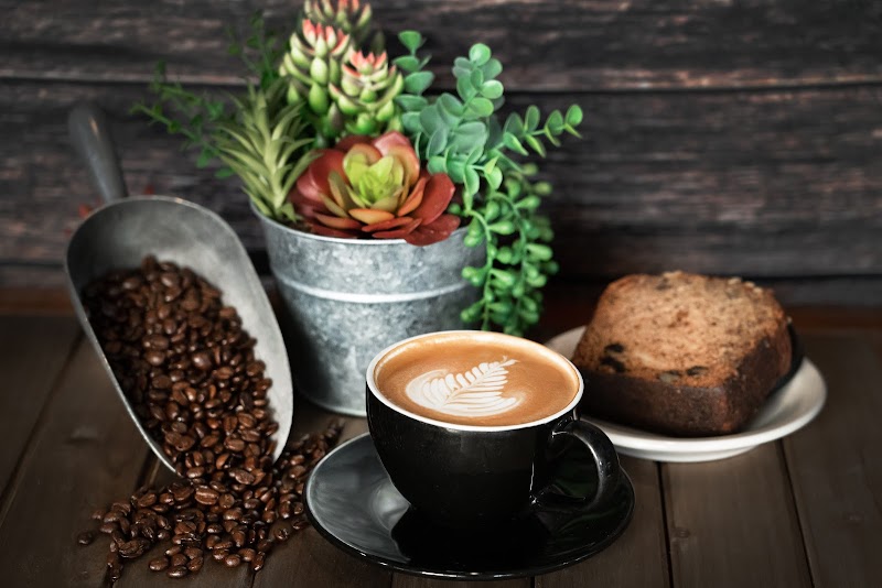 Dog Day Coffee photo 2