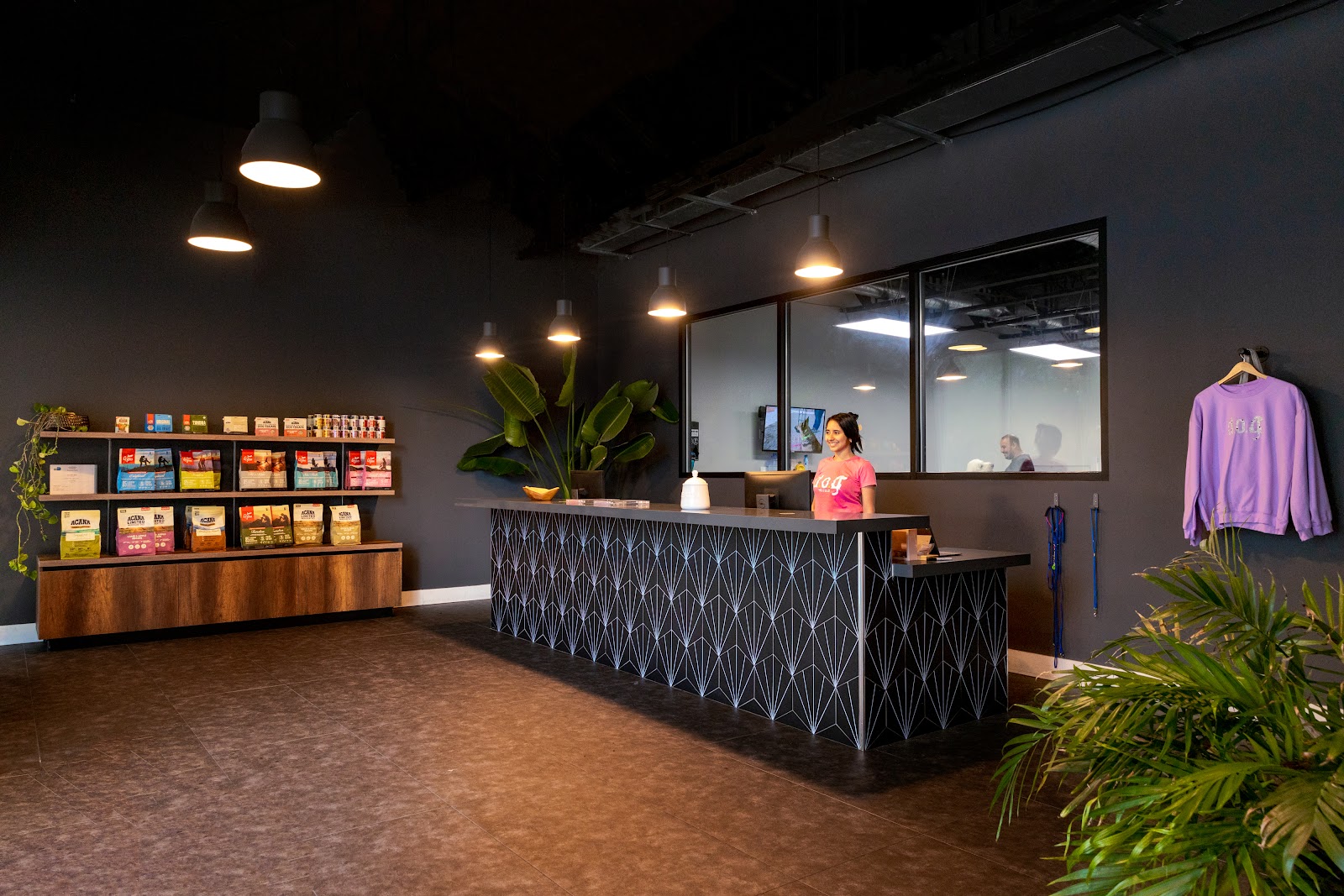 DOG Hotels Miami Shores
