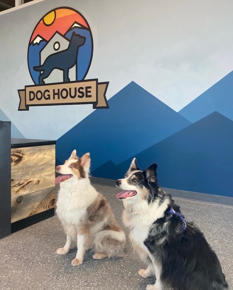 Dog House Denver photo 2