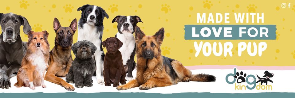 Dog Kingdom Miami