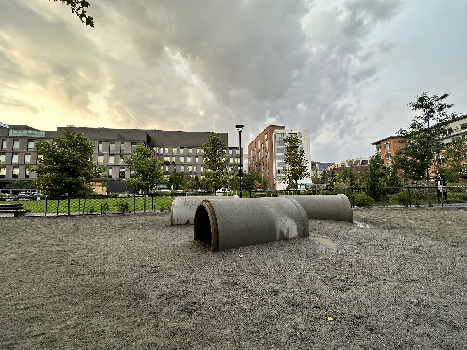 Dog Park at Toomey Park