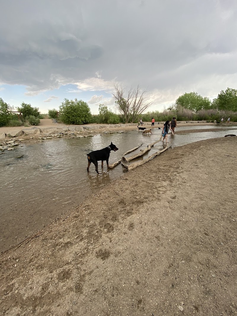 Dog Park Beach and Cherry Creek Access