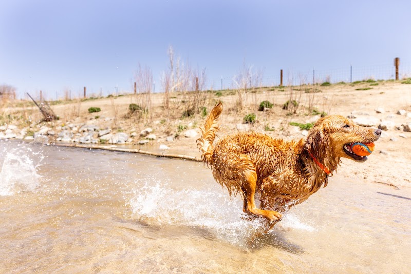 Dog Park Beach and Cherry Creek Access photo 2